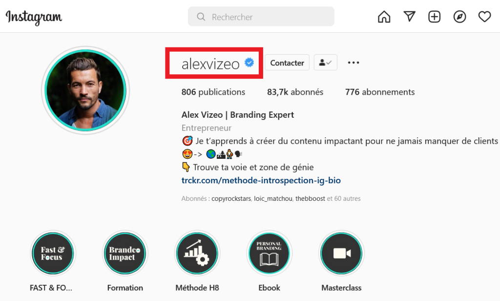 pseudo instagram alex vizeo
