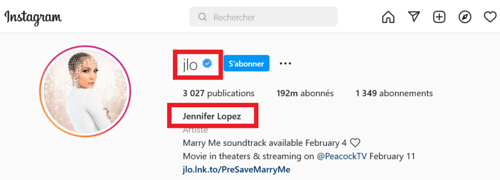 trouver pseudo instagram username